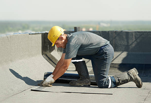 Best Insulation Installation Services in Vero Lake Estates, FL